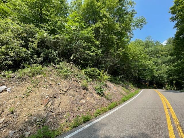 2359 Spivey Mountain Road Erwin, TN 37650 - Photo 27 of 33 7374D67D-2128-4D7C-866A-21055CB37B4F