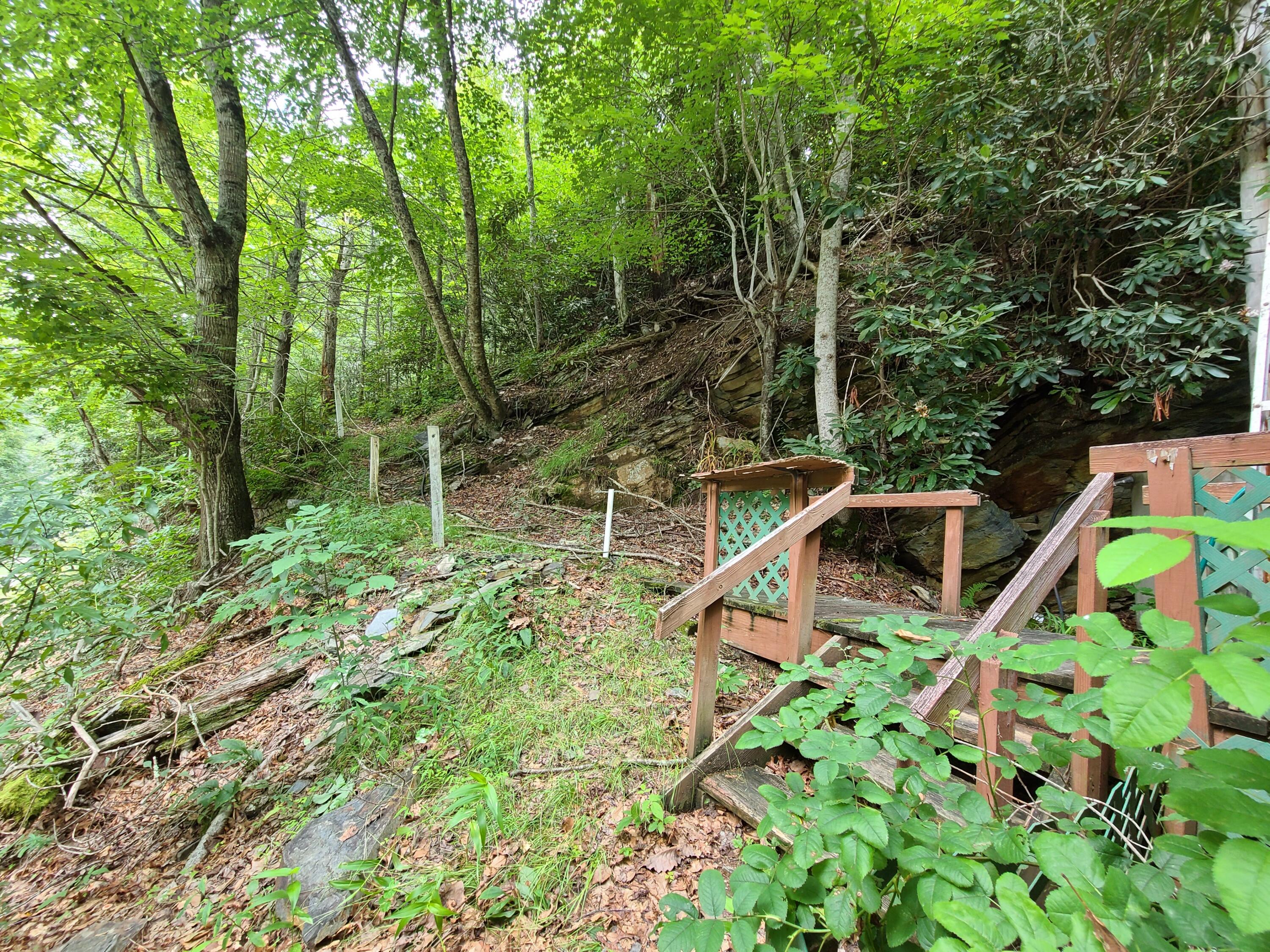 2359 Spivey Mountain Road Erwin, TN 37650 - Photo 3 of 33 67E6E8CA-8E2A-4A3A-97CE-BF58300AF5BC