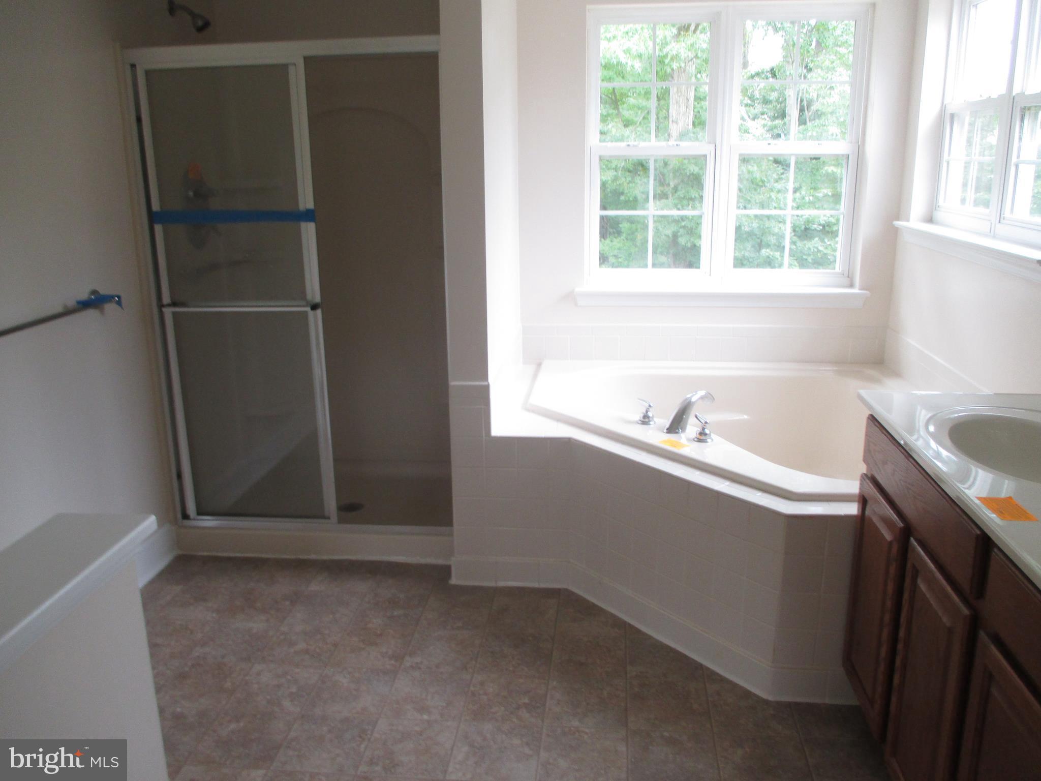 122 Inspiration Road North East, MD 21901 - Photo 5 of 12 Bath (Master)