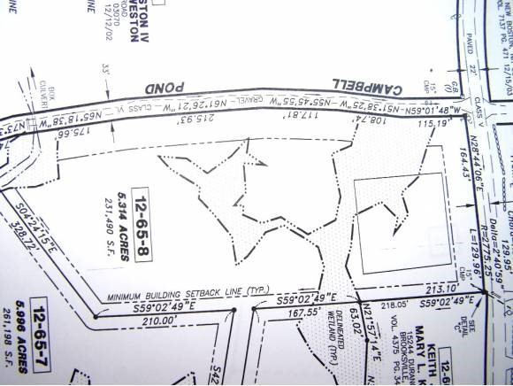Lot 8 Pulpit Road New Boston, NH 03070 - Photo 6 of 11
