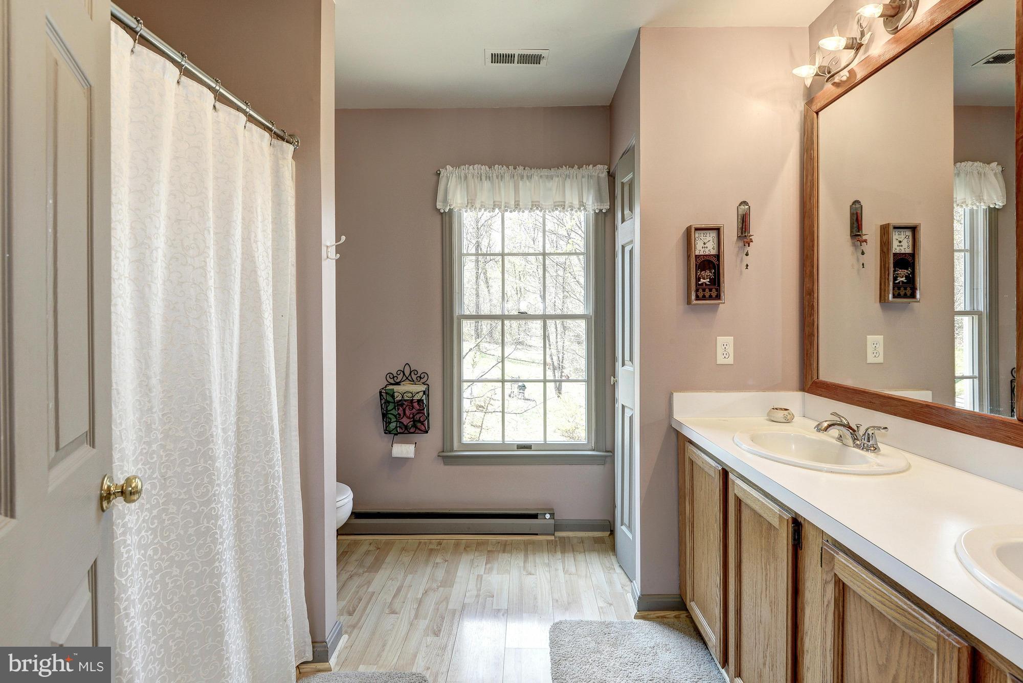 35084 Sunny Ridge Road Round Hill, VA 20141 - Photo 22 of 30 Master bath
