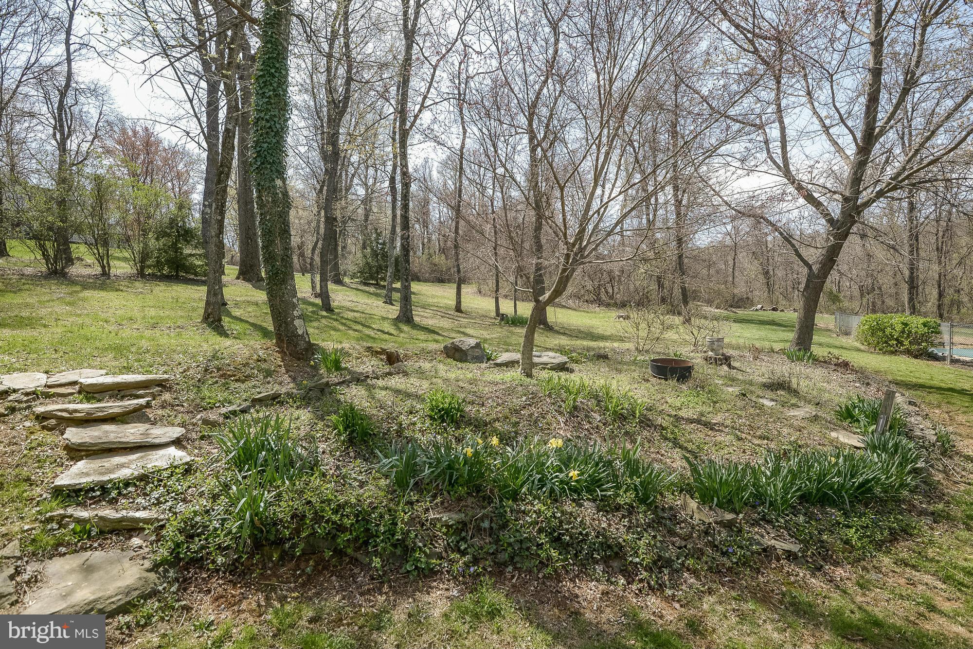 35084 Sunny Ridge Road Round Hill, VA 20141 - Photo 5 of 30 Private setting