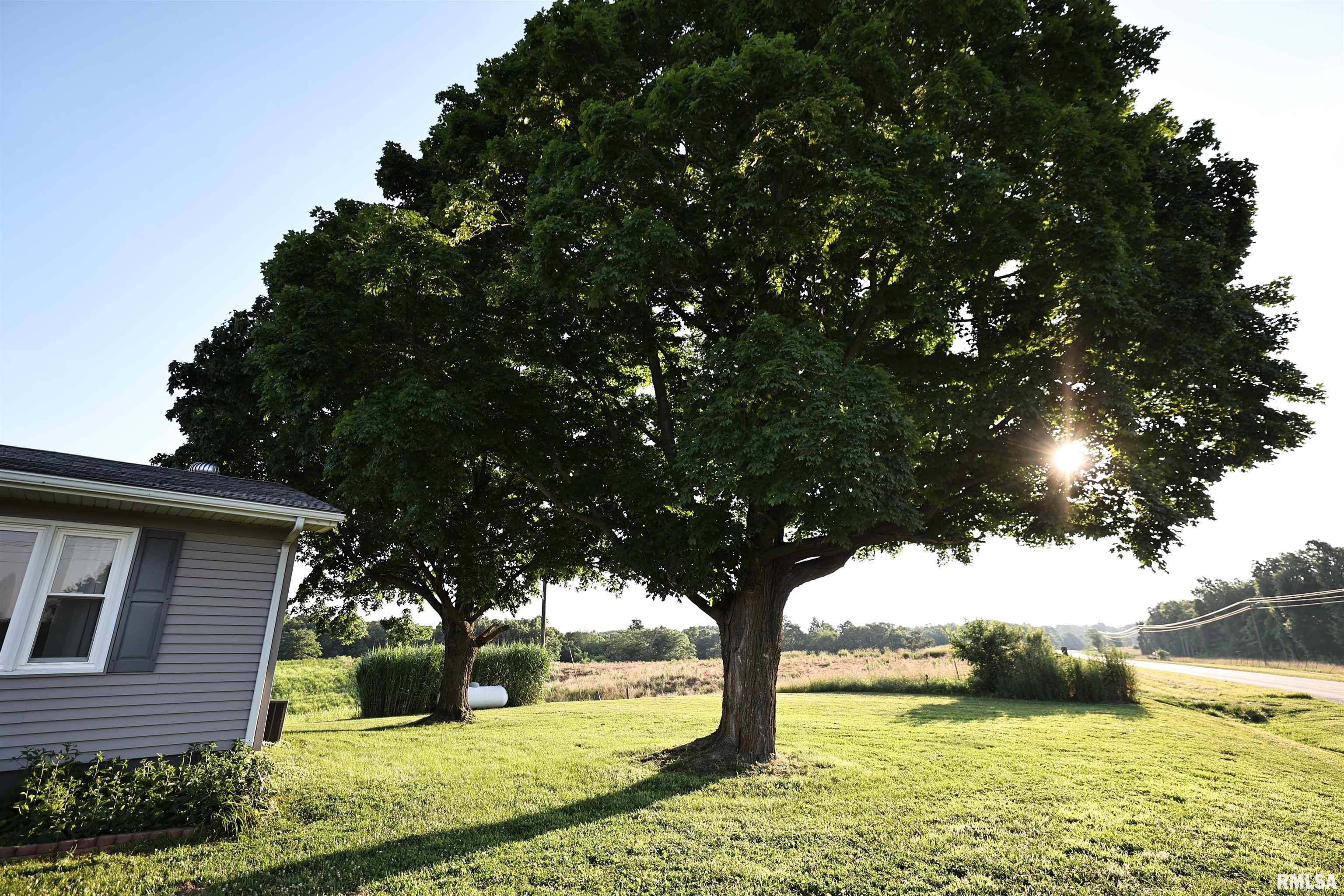 42060 Co Highway 10 Nebo, IL 62355 - Photo 14 of 71