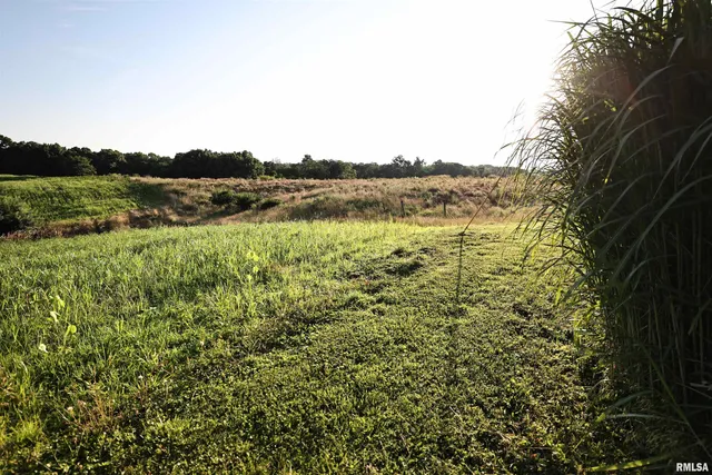 $192,000 | 42060 Co Highway 10, Nebo, IL 62355