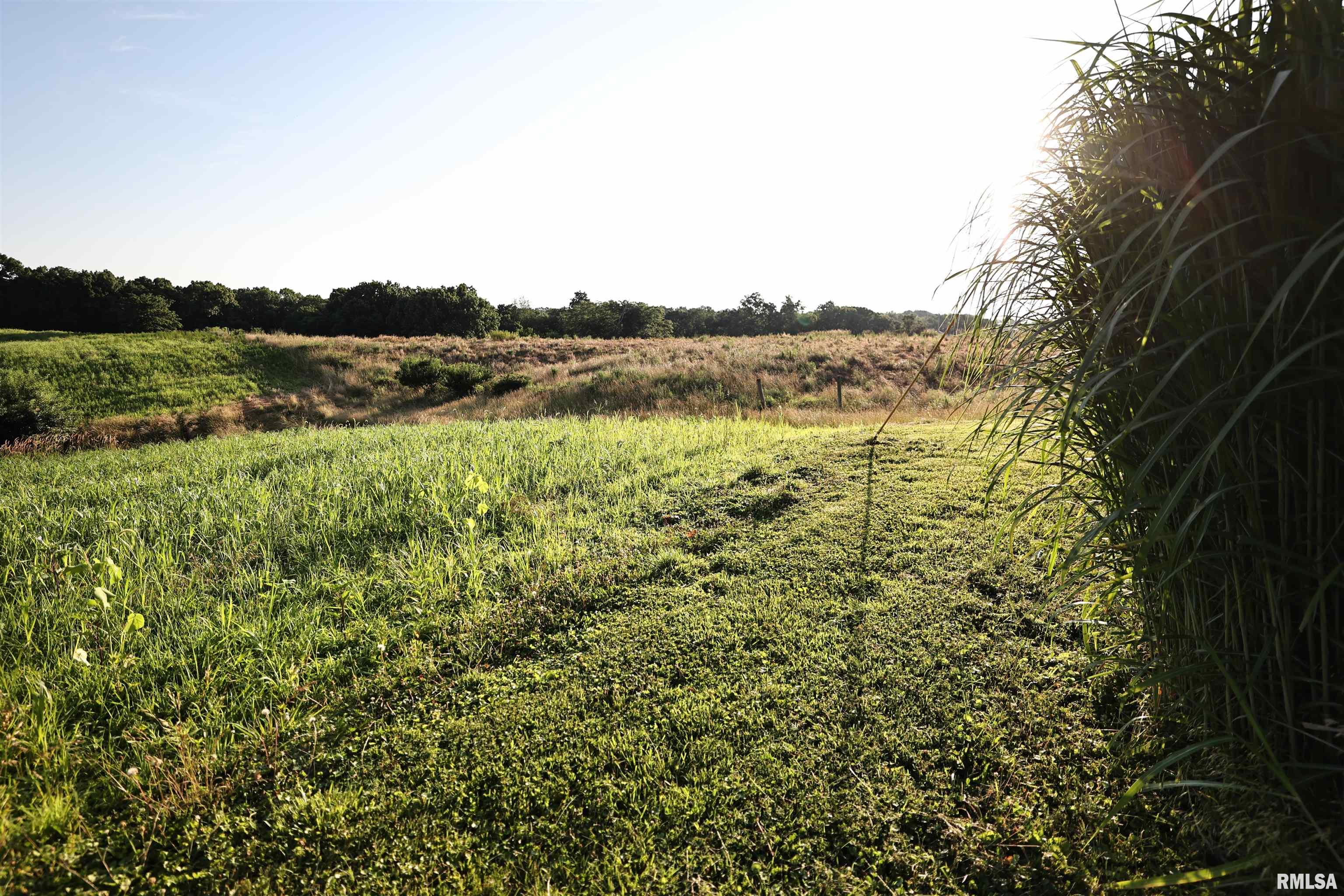 42060 Co Highway 10 Nebo, IL 62355 - Photo 18 of 71