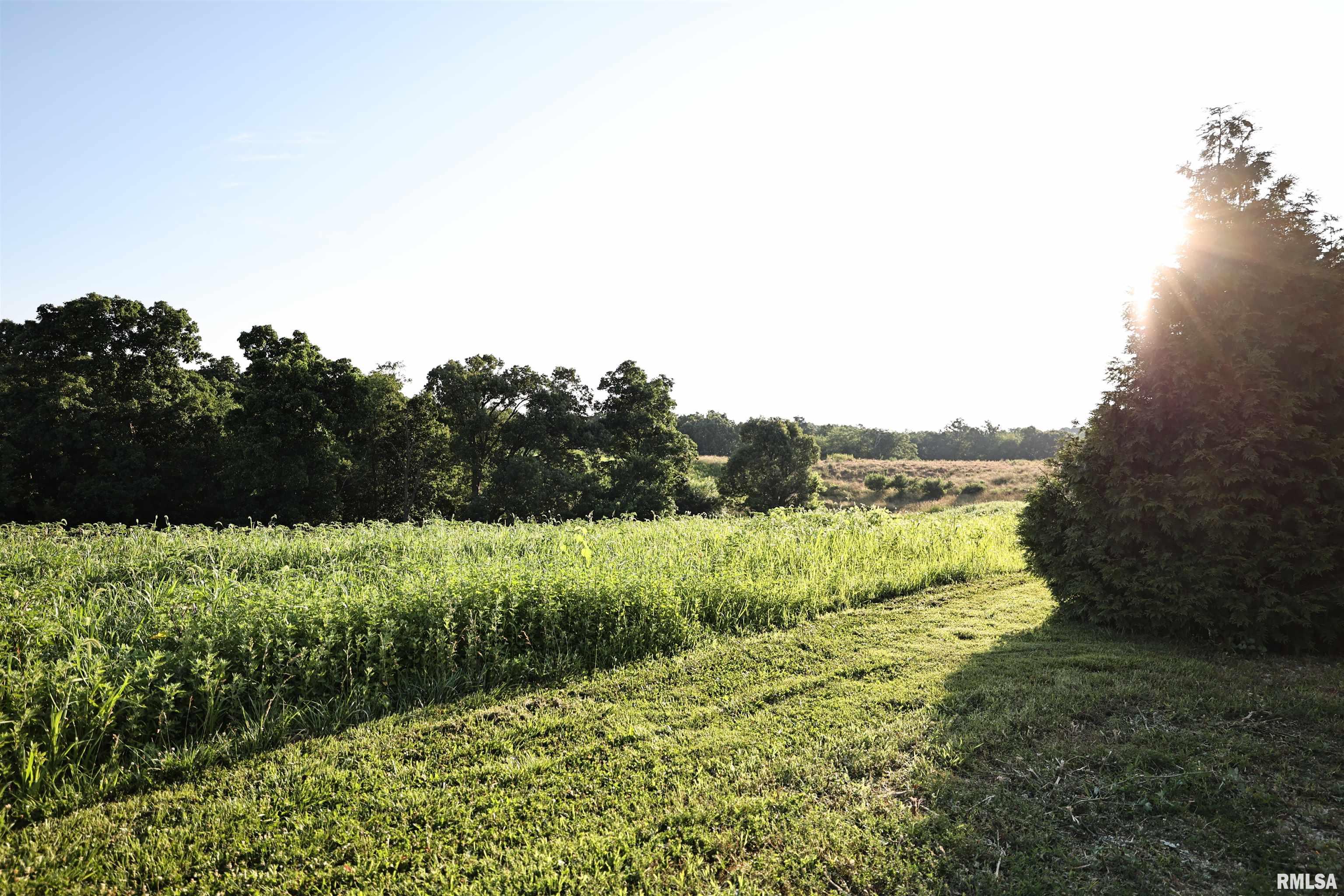 42060 Co Highway 10 Nebo, IL 62355 - Photo 24 of 71