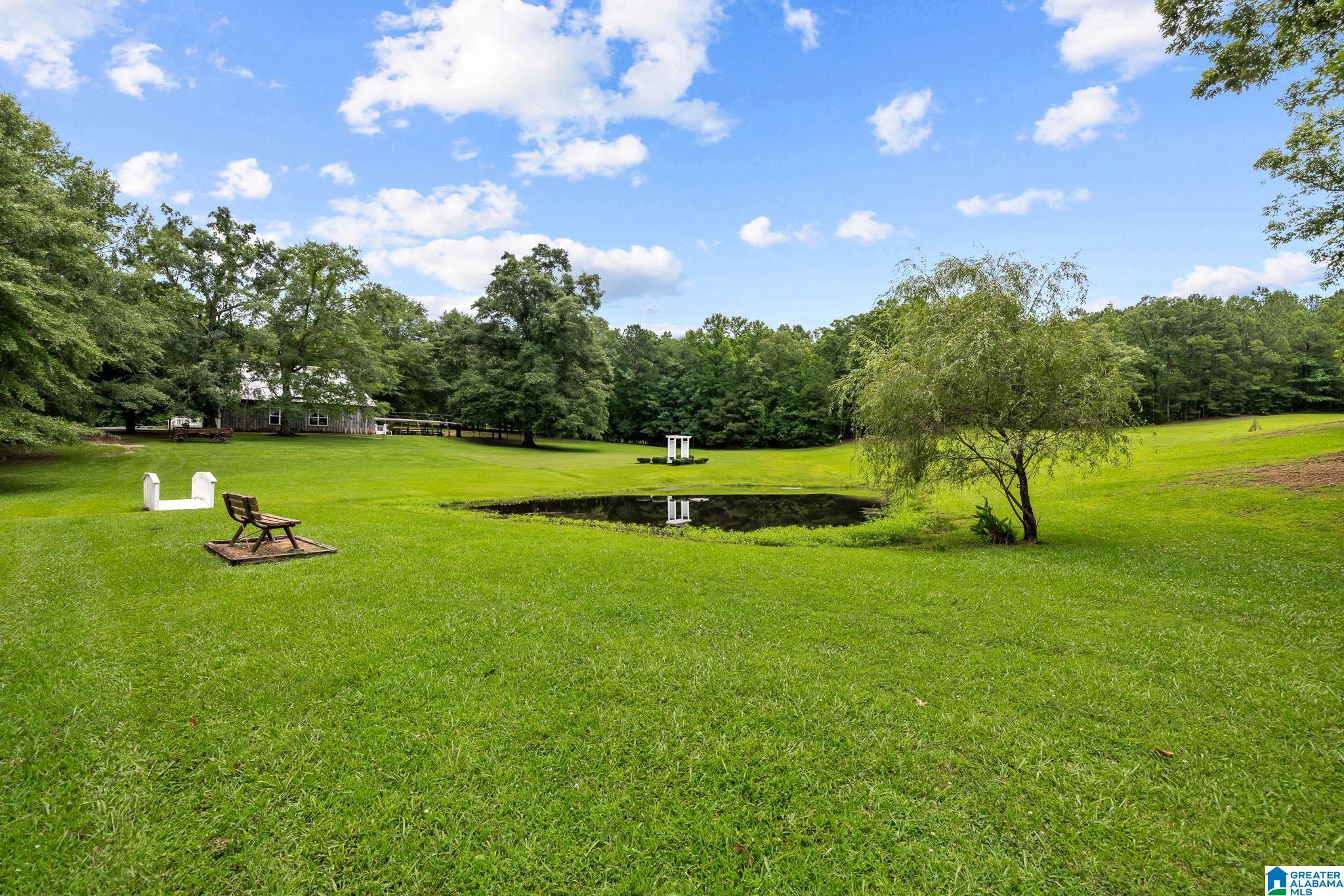 860 Sweet Apple Road Pell City, AL 35128 - Photo 7 of 62