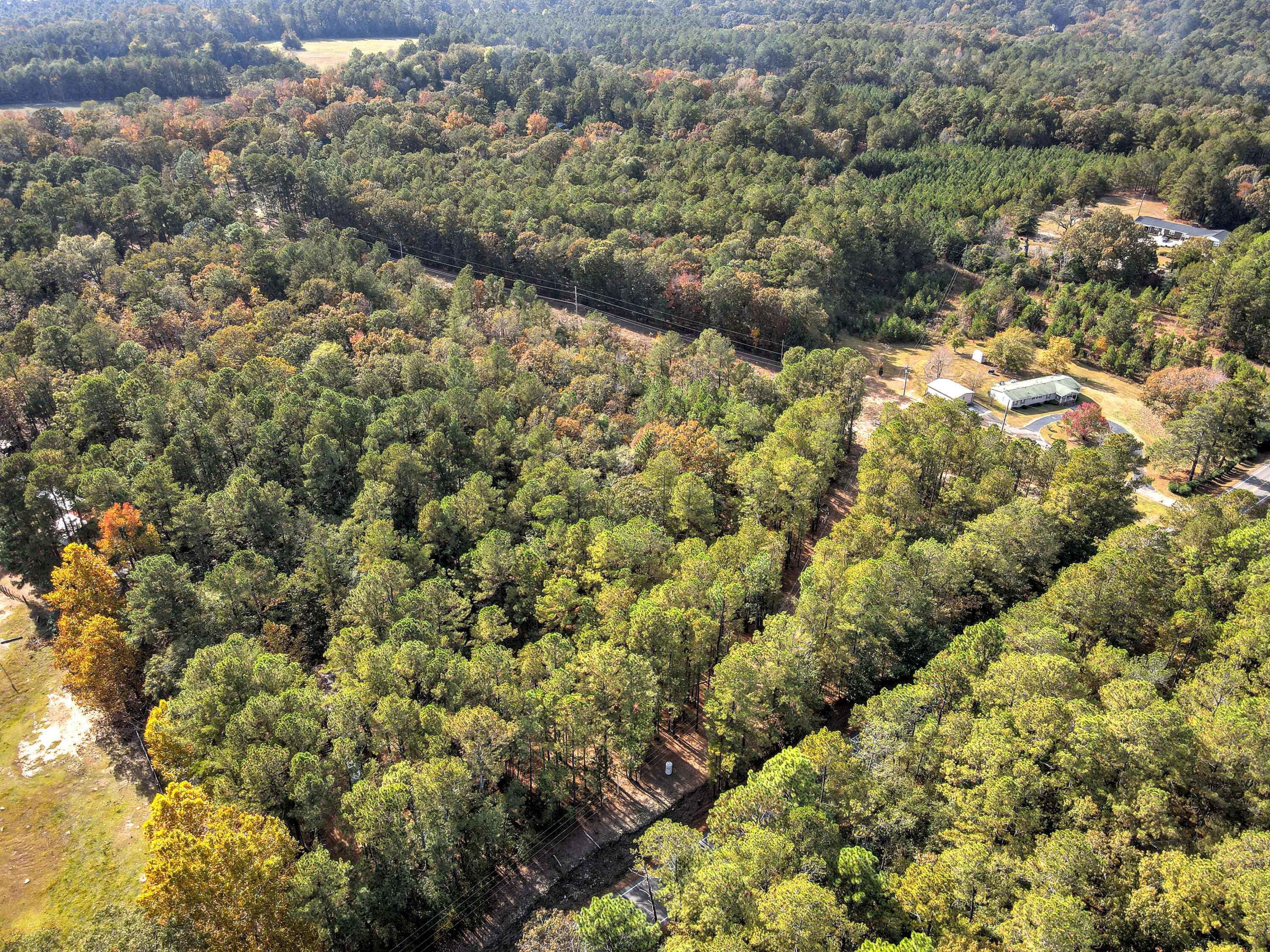 0 Banks Mill Road Southeast Aiken, SC 29803 - Photo 4 of 13