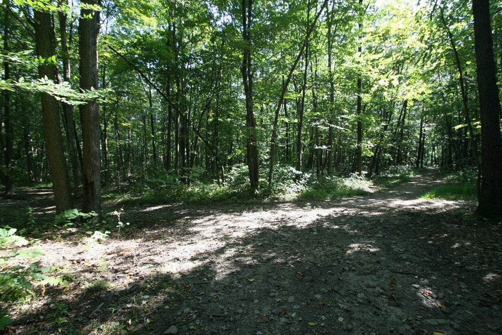 Gallery Image 6