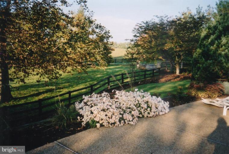 8035 Riverside Farm Road Marshall, VA 20115 - Photo 13 of 24 Patio 2