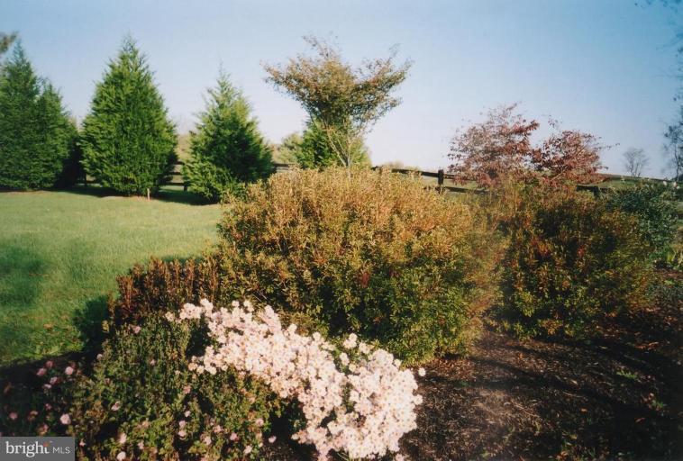 8035 Riverside Farm Road Marshall, VA 20115 - Photo 14 of 24 Back yard