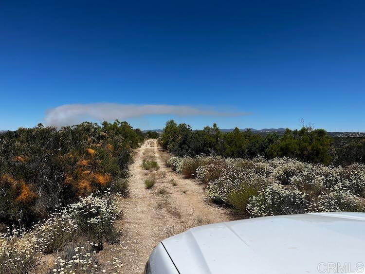0 Sol Wood Boulevard, CA 91905 - Photo 9 of 9 a view of a yard with a tree