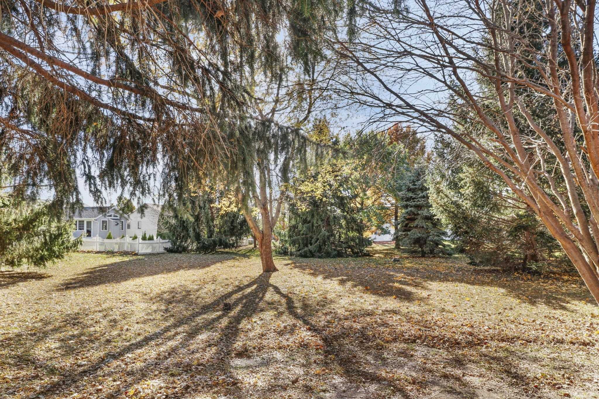 104 Maria Lane Cottage Grove, WI 53527 - Photo 48 of 58