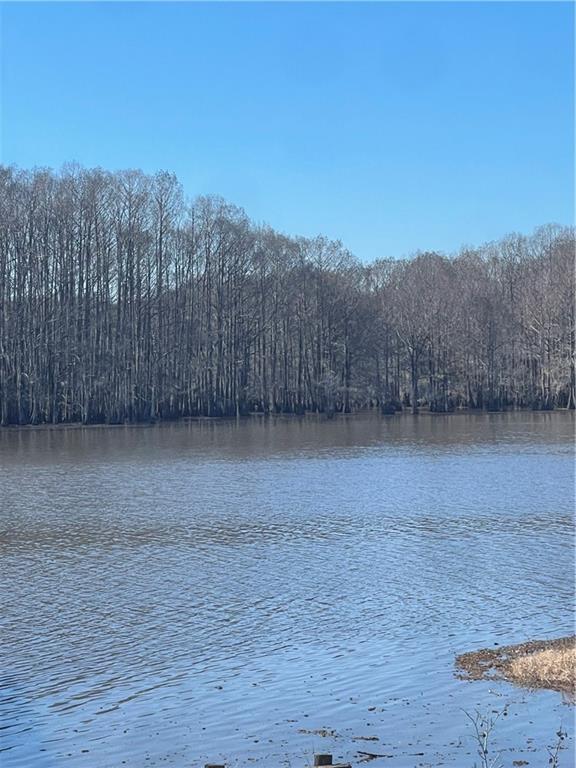 0 Deloach Road Sibley, LA 71073 - Photo 3 of 4 Gallery Image 3