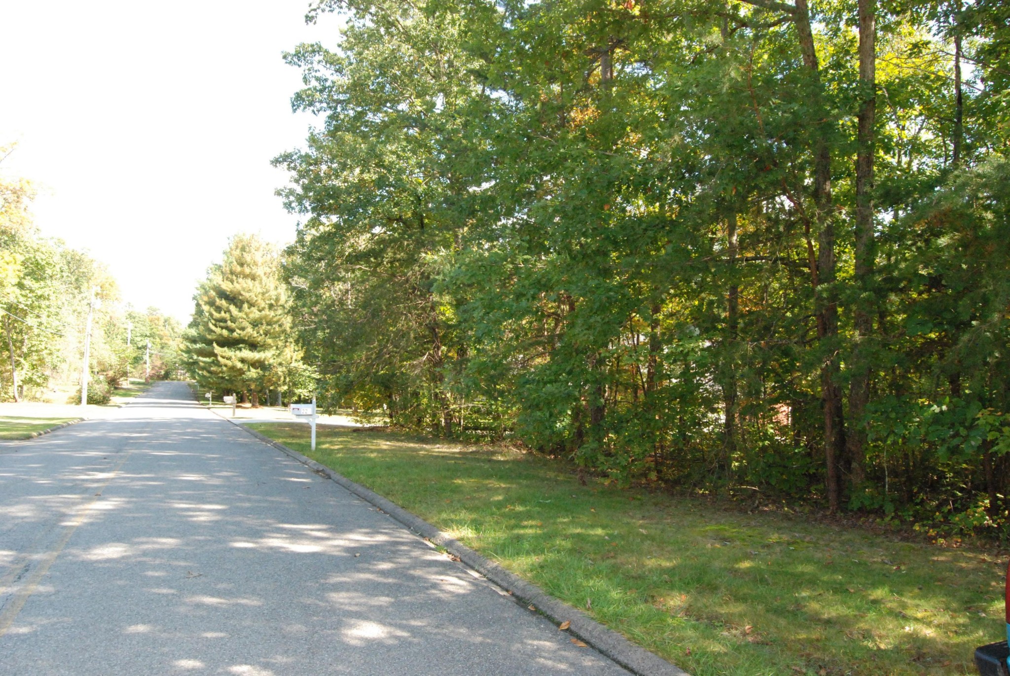 511 Spring Street Signal Mountain, TN 37377 - Photo 1 of 9