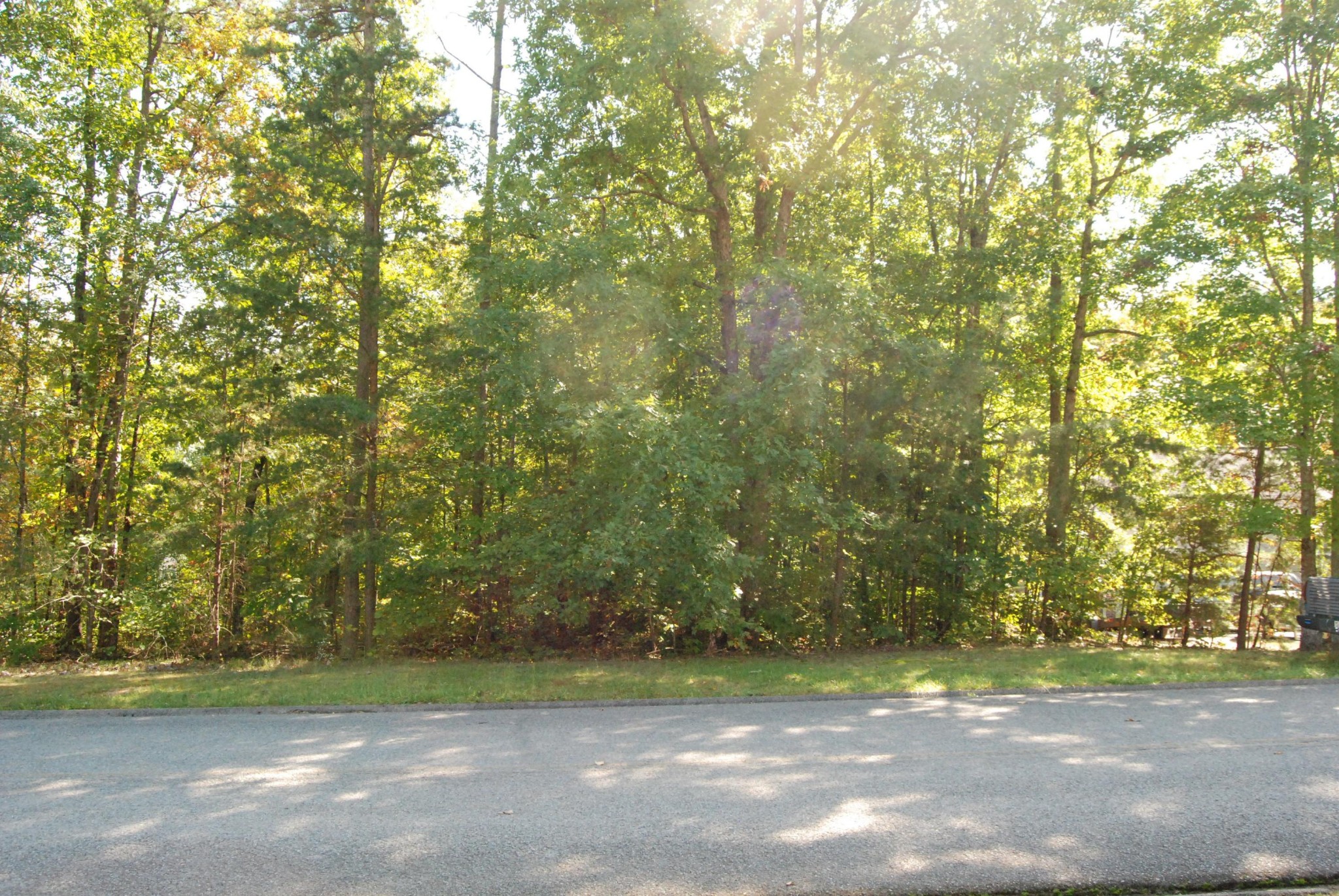 511 Spring Street Signal Mountain, TN 37377 - Photo 3 of 9