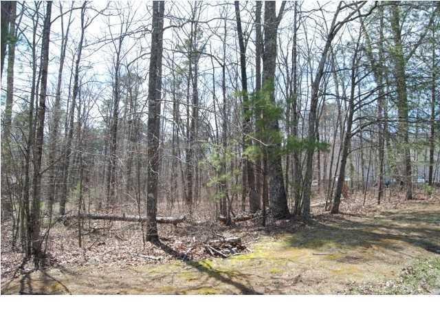 511 Spring Street Signal Mountain, TN 37377 - Photo 4 of 9