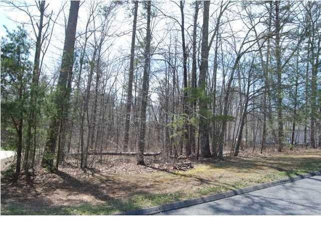 511 Spring Street Signal Mountain, TN 37377 - Photo 5 of 9