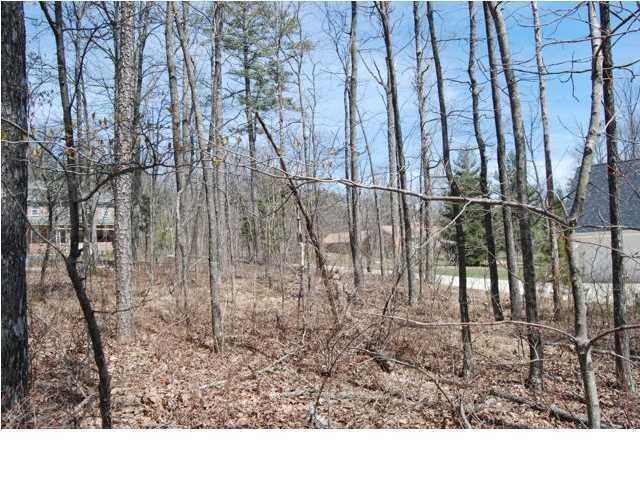 511 Spring Street Signal Mountain, TN 37377 - Photo 6 of 9