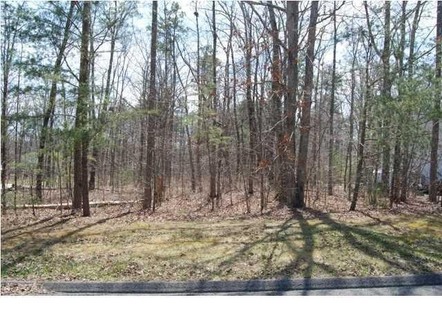511 Spring Street Signal Mountain, TN 37377 - Photo 7 of 9