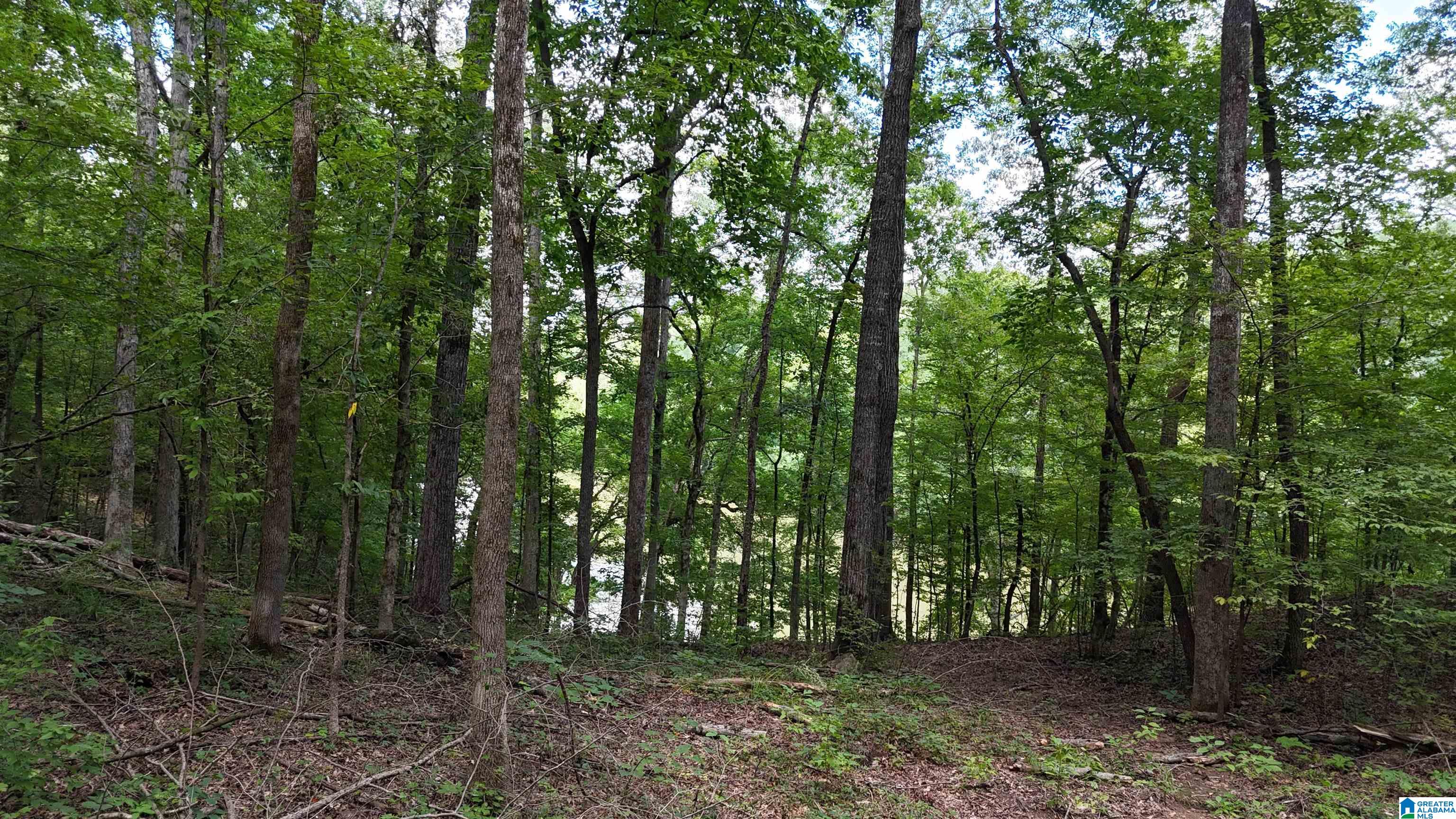 2170 Birmingham Road Centreville, AL 35042 - Photo 22 of 32