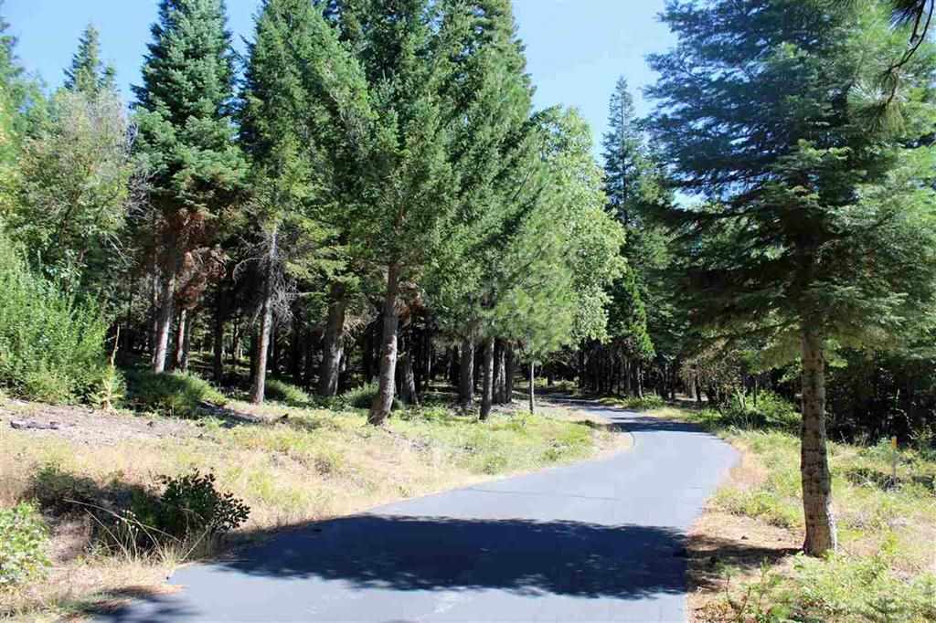 3 Deetz Road Rd Mount Mount Shasta, CA 96067 - Photo 34 of 37 Gallery Image 34