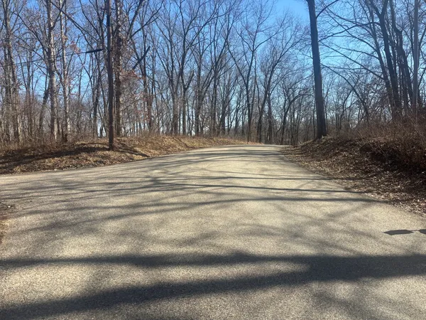 a view of a yard with large trees