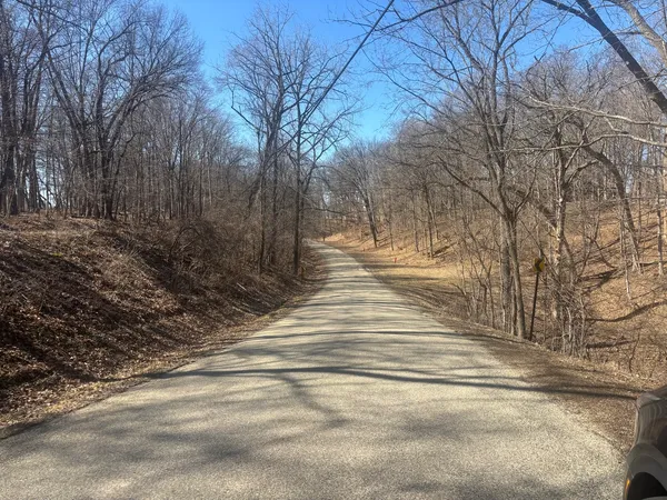 a view of yard with tree s