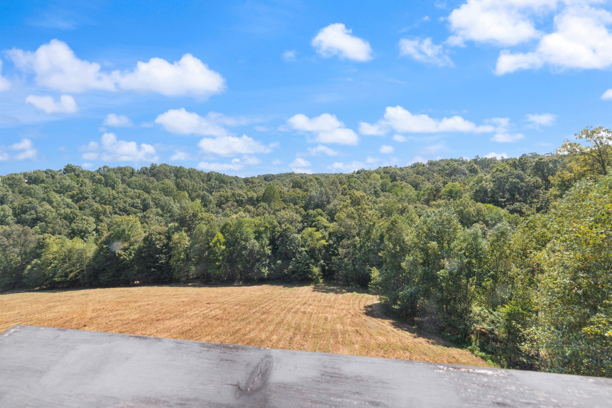 7422 Indian Creek Road McEwen, TN 37101 - Photo 53 of 86