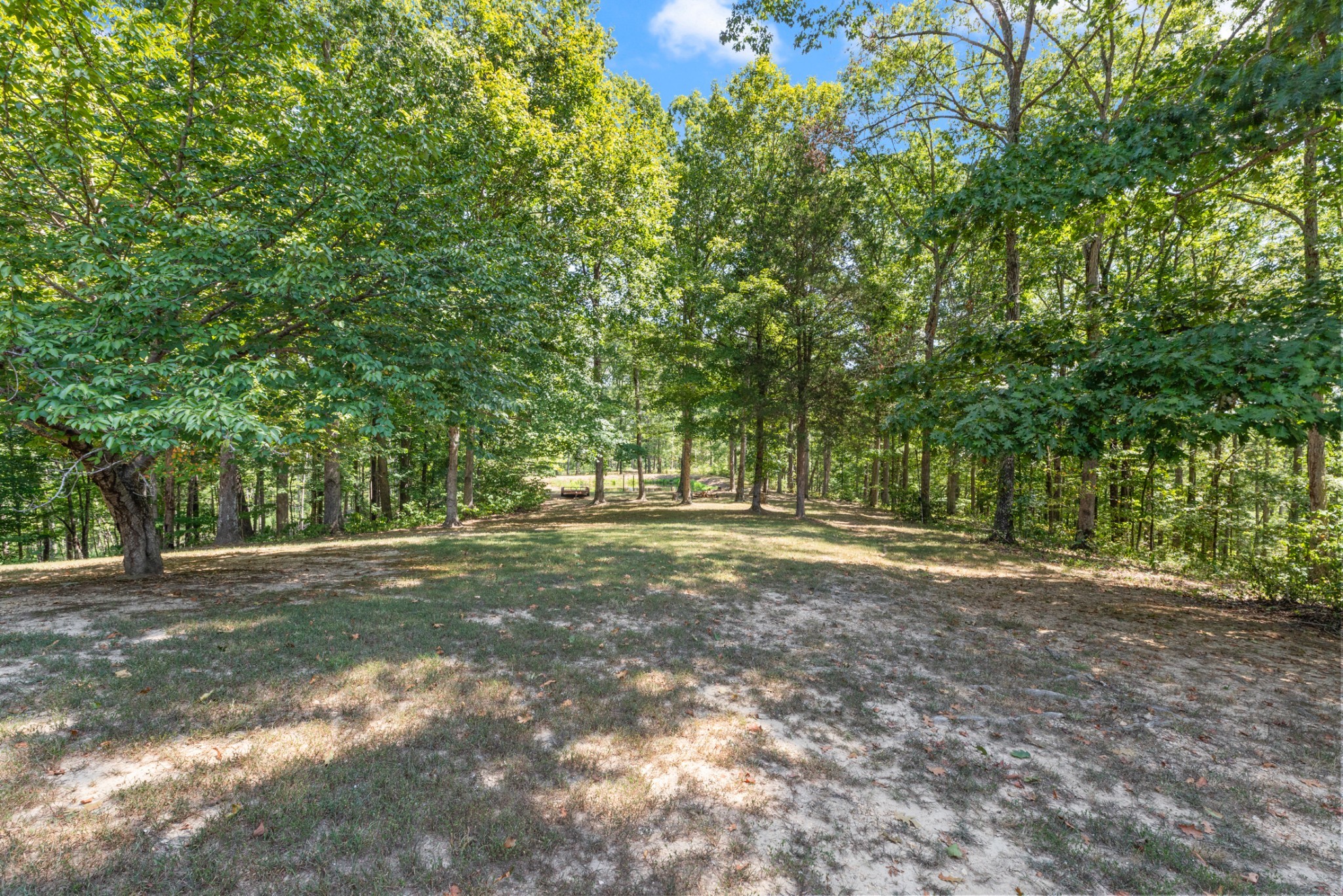 7422 Indian Creek Road McEwen, TN 37101 - Photo 64 of 86 a view of a field with trees in the background