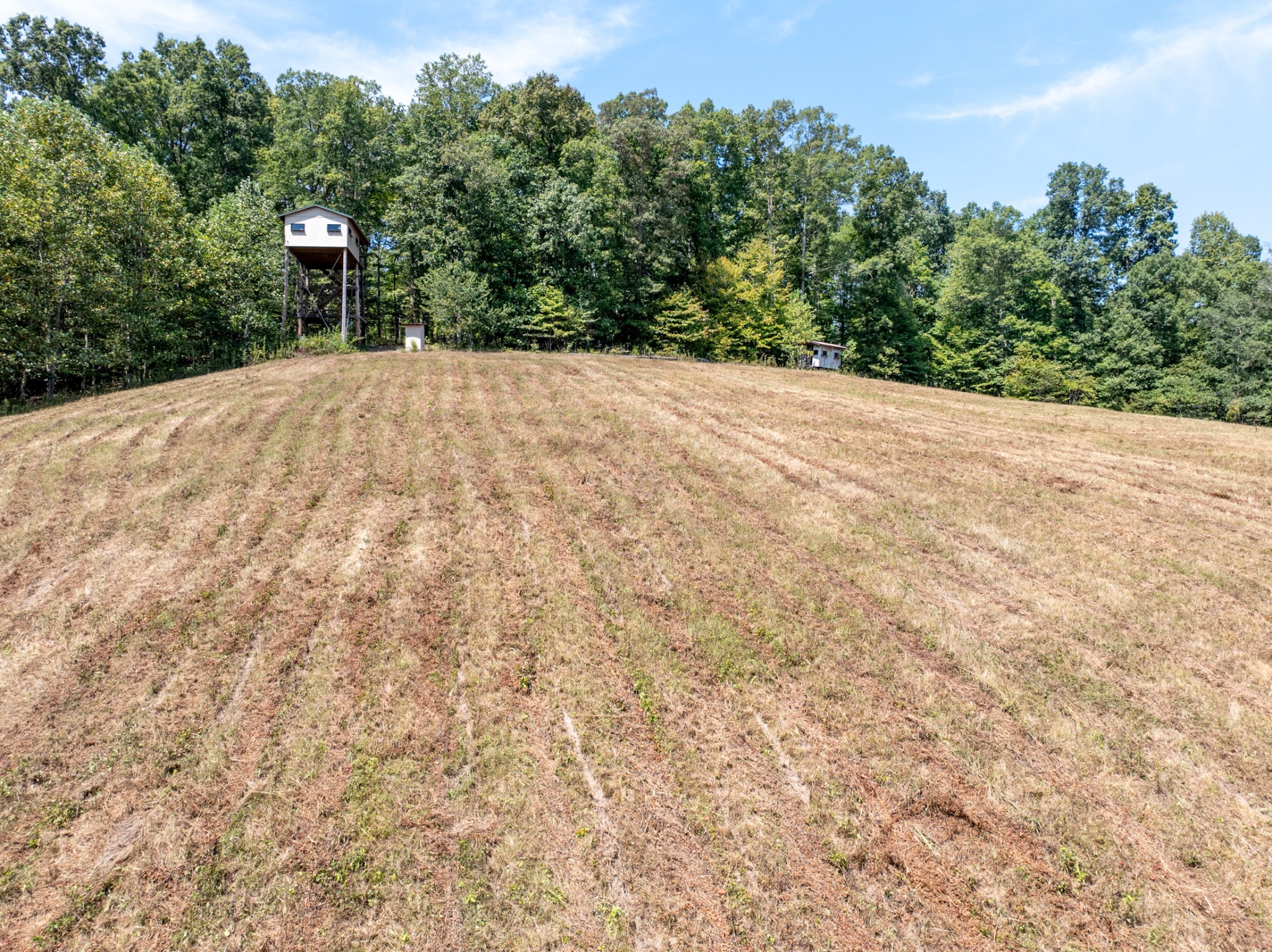 7422 Indian Creek Road McEwen, TN 37101 - Photo 72 of 86
