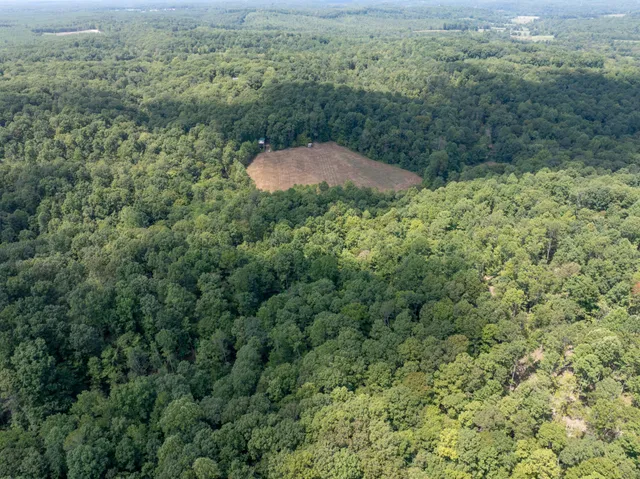 $1,150,000 | 7422 Indian Creek Road, McEwen, TN 37101