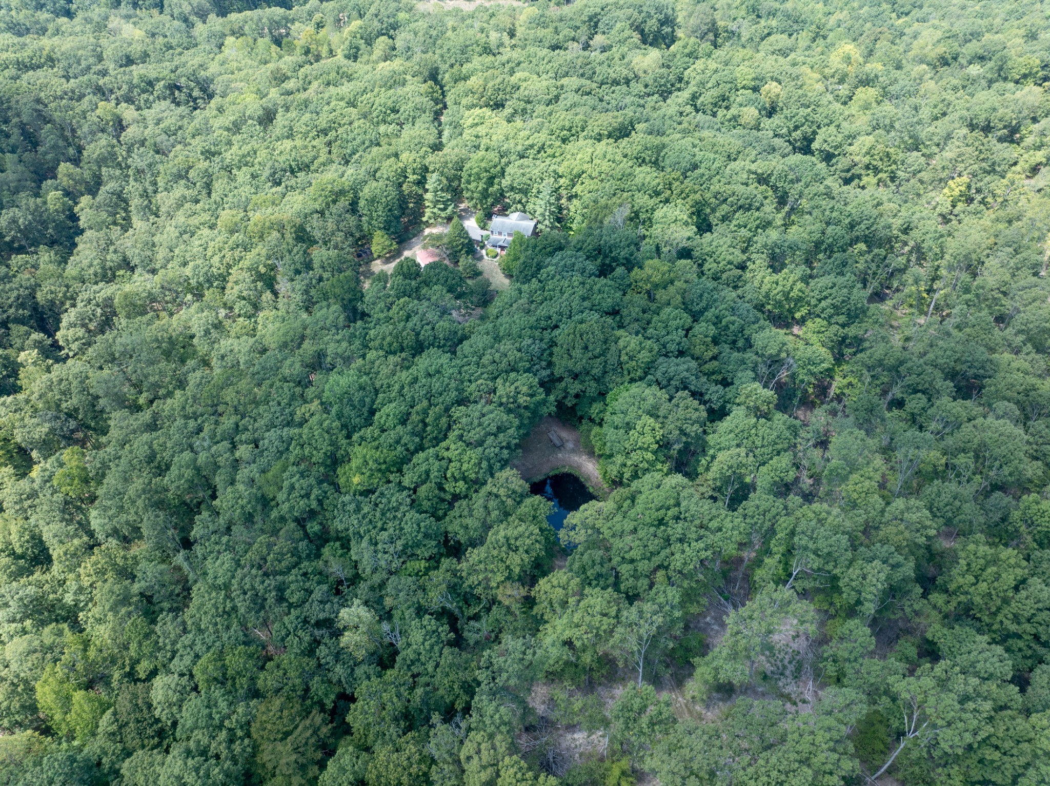 7422 Indian Creek Road McEwen, TN 37101 - Photo 82 of 86 an aerial view of residential house with outdoor space and trees all around