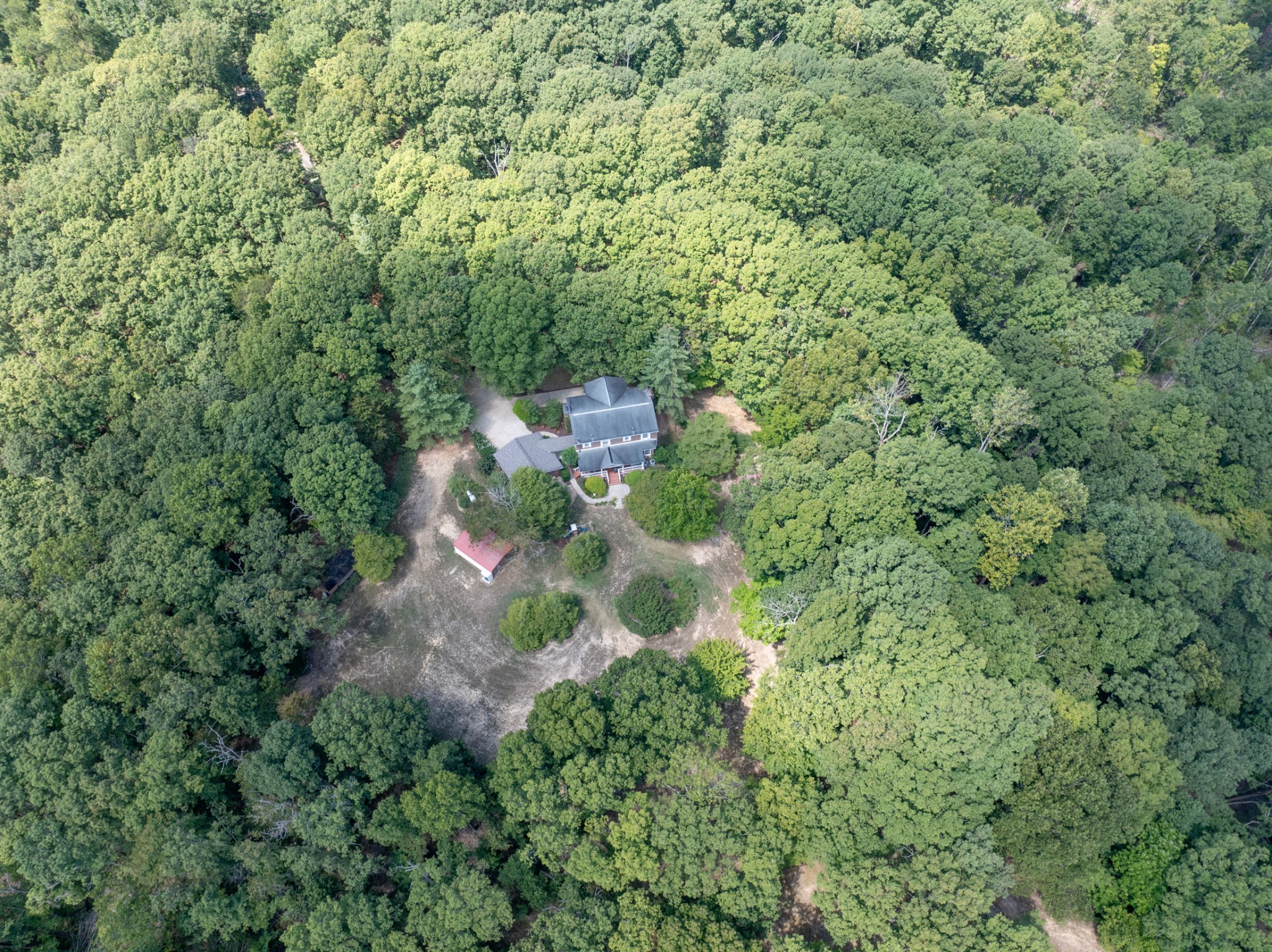 7422 Indian Creek Road McEwen, TN 37101 - Photo 84 of 86 a view of a forest with a tree