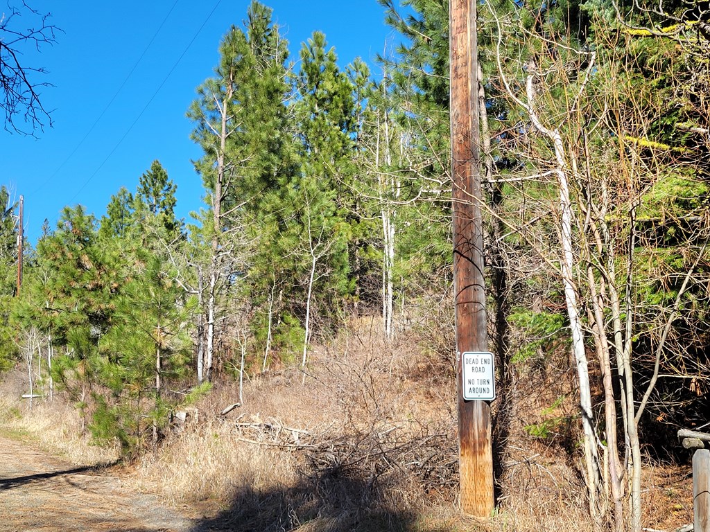 Tbd Tbd Point Lane Cascade, ID 83611 - Photo 14 of 15 Point Lane