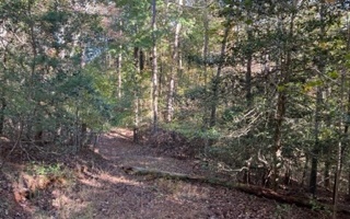 Kate Road Dahlonega, GA 30533 - Photo 2 of 4 Additional View