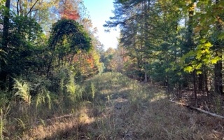 Kate Road Dahlonega, GA 30533 - Photo 3 of 4 Additional View