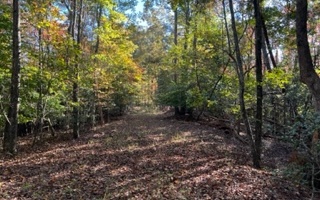 Kate Road Dahlonega, GA 30533 - Photo 4 of 4 Additional View