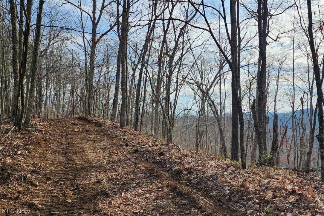 Progress Ridge Road Walker, WV 26180 - Photo 6 of 8