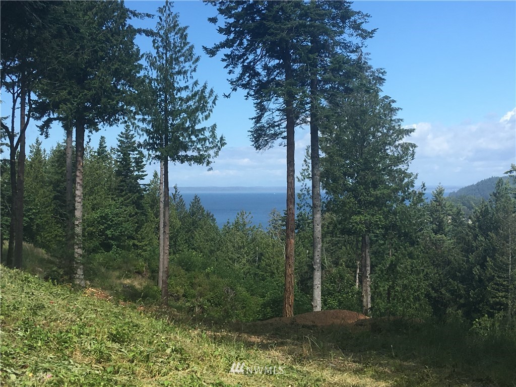 557-55x Whitecap Road Bellingham, WA 98229 - Photo 2 of 15
