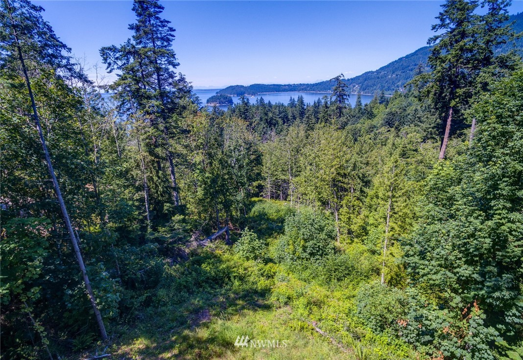 557-55x Whitecap Road Bellingham, WA 98229 - Photo 11 of 15
