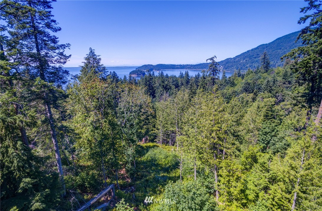 557-55x Whitecap Road Bellingham, WA 98229 - Photo 12 of 15