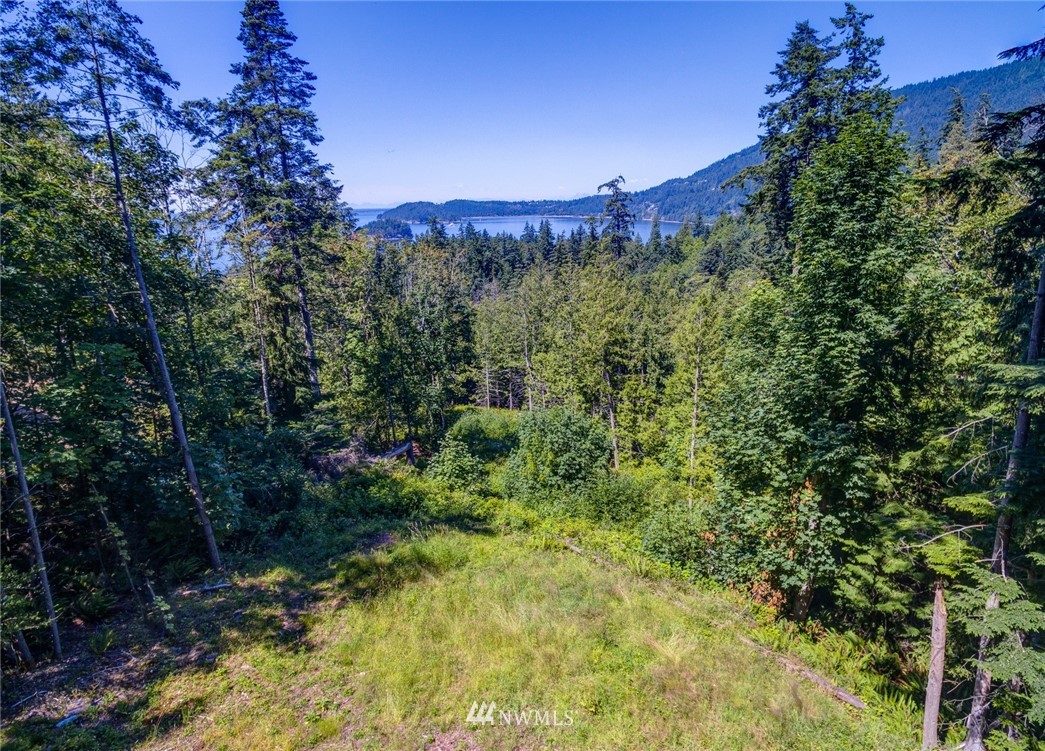 557-55x Whitecap Road Bellingham, WA 98229 - Photo 3 of 15
