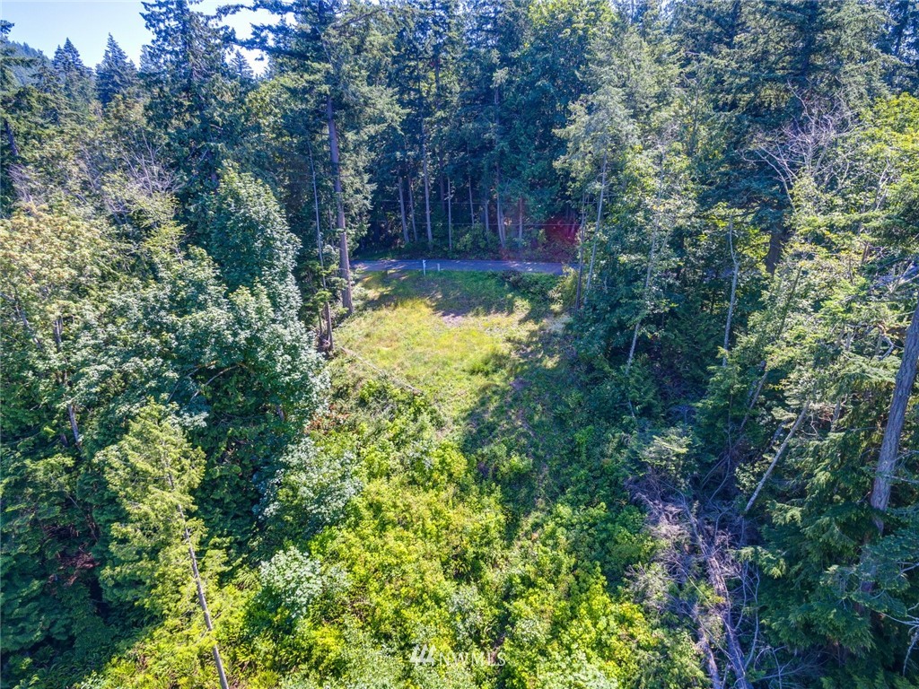 557-55x Whitecap Road Bellingham, WA 98229 - Photo 4 of 15