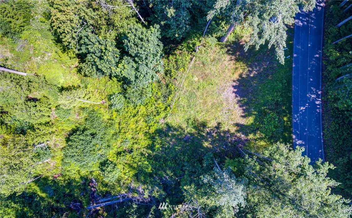 557-55x Whitecap Road Bellingham, WA 98229 - Photo 6 of 15
