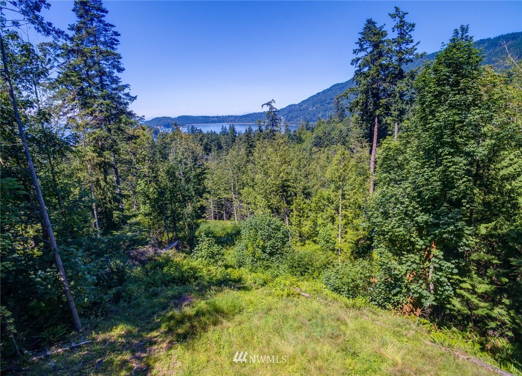 557-55x Whitecap Road Bellingham, WA 98229 - Photo 7 of 15