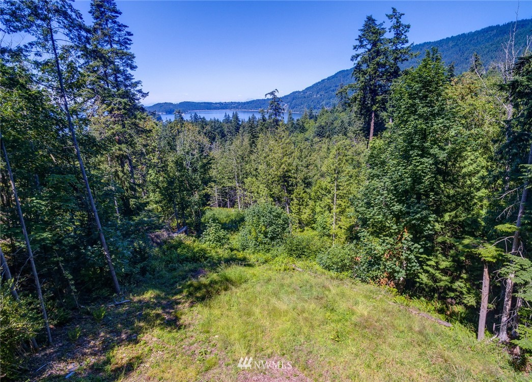 557-55x Whitecap Road Bellingham, WA 98229 - Photo 8 of 15