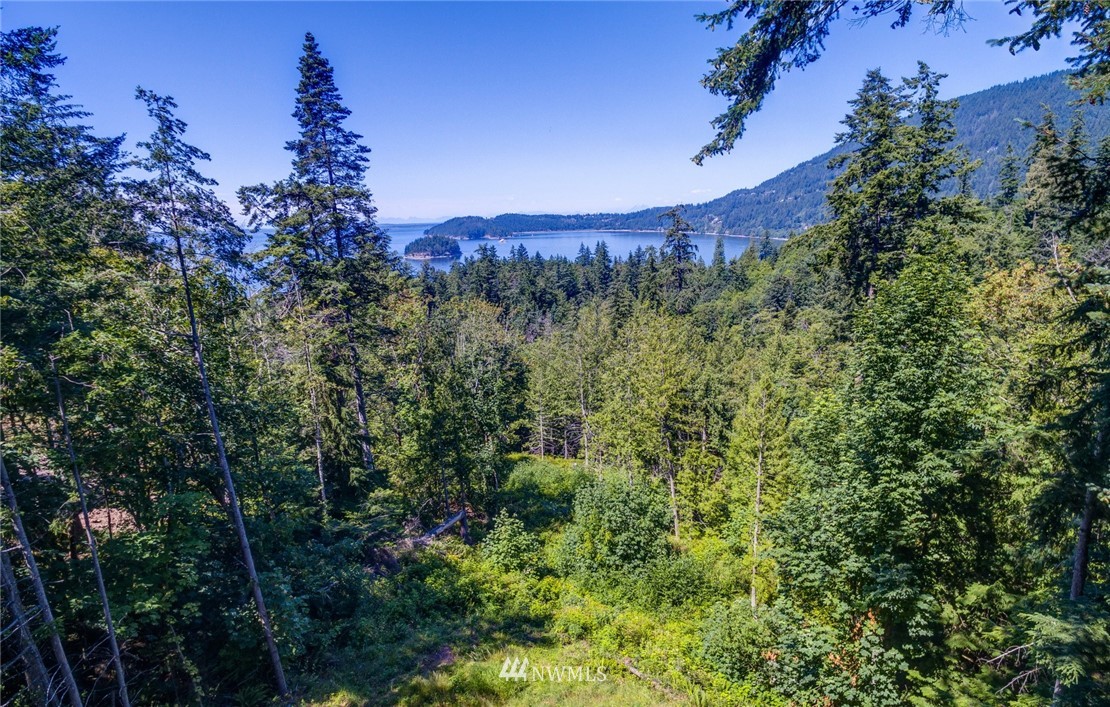 557-55x Whitecap Road Bellingham, WA 98229 - Photo 9 of 15