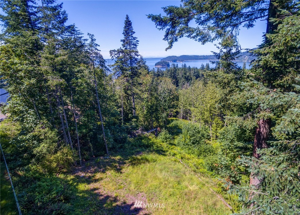 557-55x Whitecap Road Bellingham, WA 98229 - Photo 10 of 15