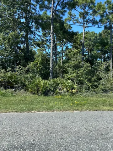 a view of a garden with a tree